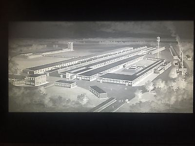 RARE LARGE VINTAGE 8 X 10 GLASS PHOTO ENGRAVING NEGATIVE EARLY 1900S FACTORY - arustocracy