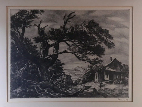 HAND SIGNED LITHOGRAPH WOLFEBORO, N.H. SAM THAL LIMITED EDITION - arustocracy