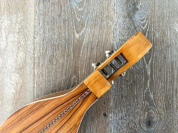 VINTAGE 1970S MOUNTAIN DULCIMER HANDMADE TEXAS MASTER LUTHIER STINSON R. BEHLEN