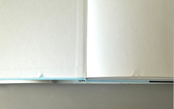 CONCEPTS AND CHALLENGES IN RETINAL BIOLOGY VOLUME 131 ORIGINAL HARDCOVER - arustocracy