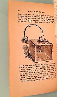 THE AMATEUR TRAPPER STANLEY HARDING 1917 PAPERBACK EXCELLENT CONDITION - arustocracy