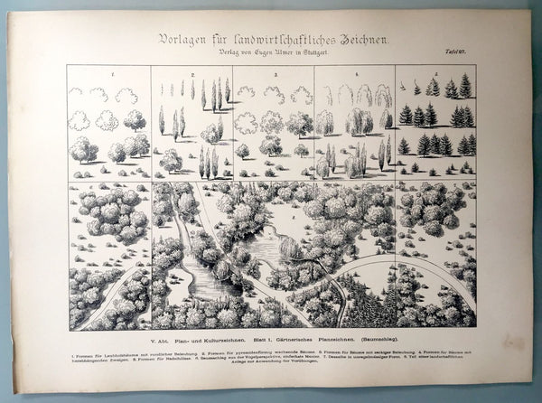 RARE GERMAN 1885 "TEMPLATES FOR AGRICULTURAL DRAWING" 33 ENGRAVED PLATES G. HEID - arustocracy