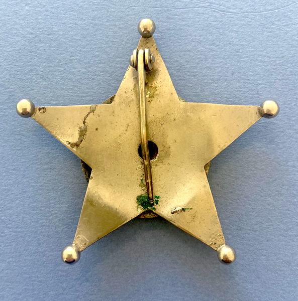 LAKE COUNTY ILLINOIS DEPUTY SHERIFF BADGE